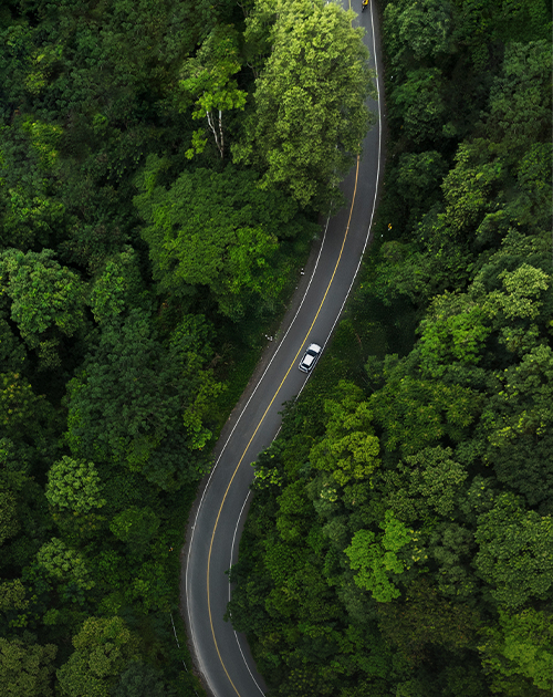 친환경 공정 혁신