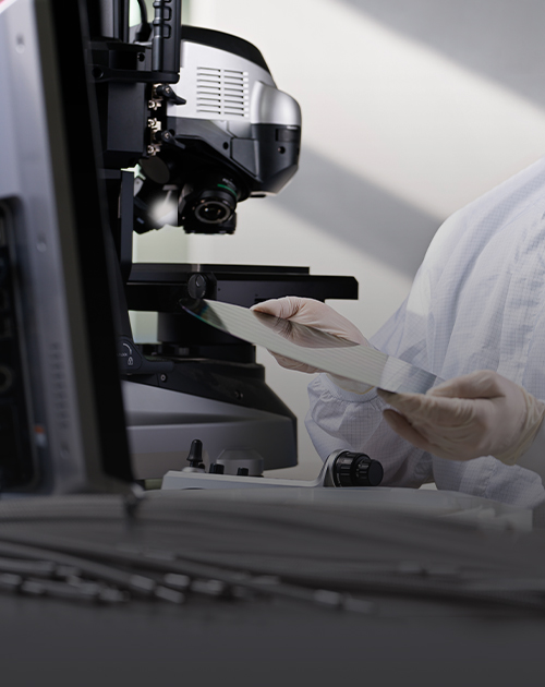 신뢰 기반 파트너십